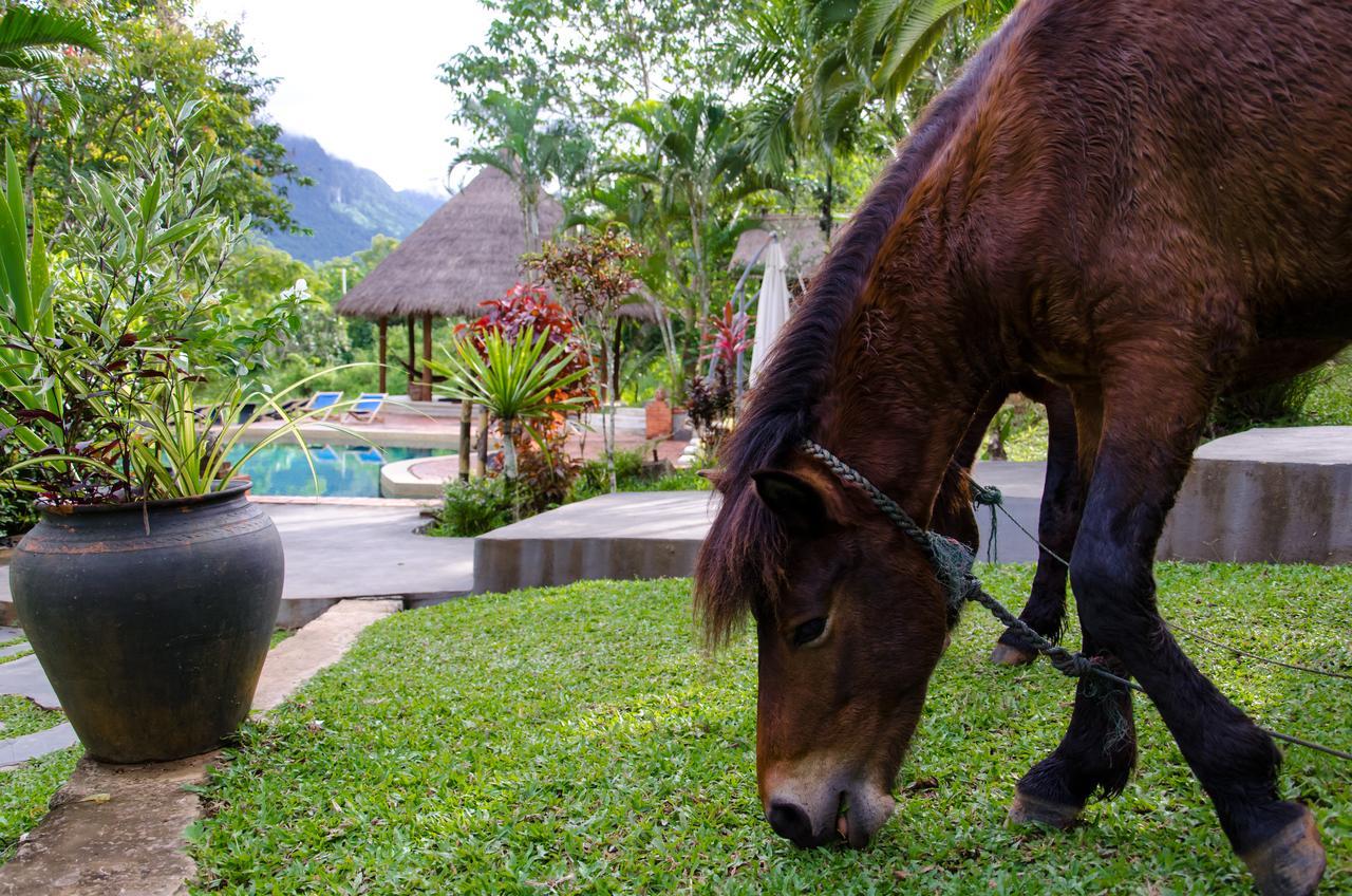 Hillside - Nature Lifestyle Lodge Luang Prabang Buitenkant foto